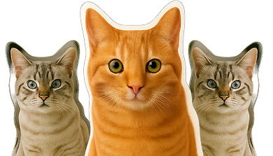 Pet acrylic cutout